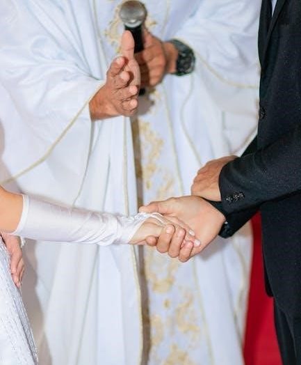 heaven officials blessing novel pdf